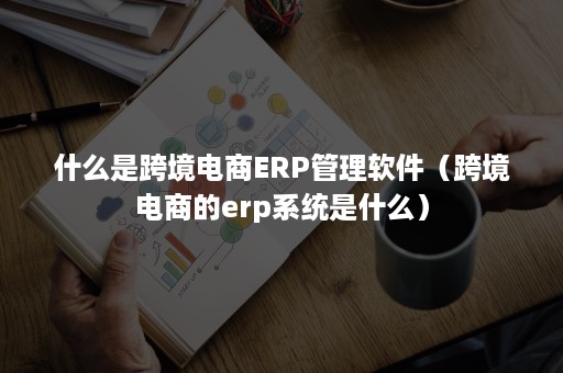 什么是跨境电商ERP管理软件（跨境电商的erp系统是什么）