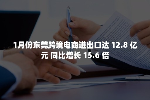 1月份东莞跨境电商进出口达 12.8 亿元 同比增长 15.6 倍