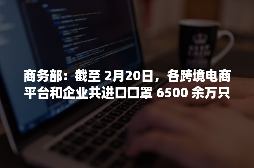 商务部：截至 2月20日，各跨境电商平台和企业共进口口罩 6500 余万只