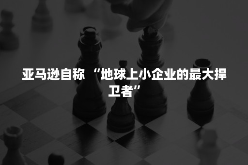 亚马逊自称 “地球上小企业的最大捍卫者”