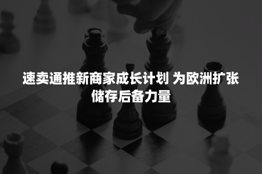 速卖通推新商家成长计划 为欧洲扩张储存后备力量