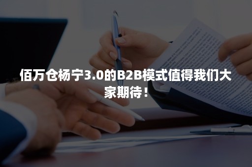 佰万仓杨宁3.0的B2B模式值得我们大家期待！