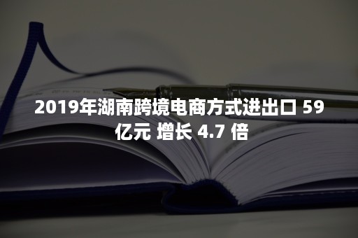 2019年湖南跨境电商方式进出口 59 亿元 增长 4.7 倍