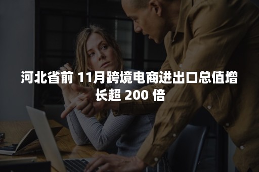 河北省前 11月跨境电商进出口总值增长超 200 倍