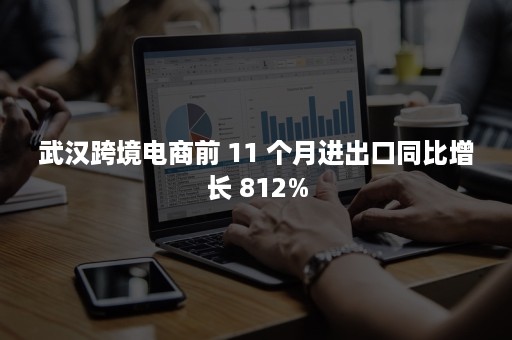 武汉跨境电商前 11 个月进出口同比增长 812%