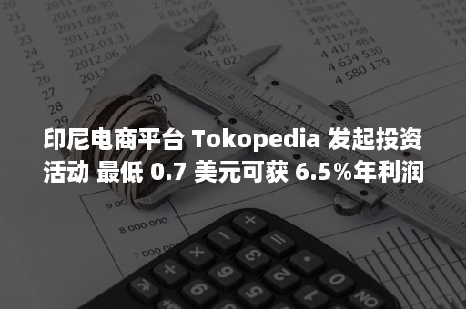 印尼电商平台 Tokopedia 发起投资活动 最低 0.7 美元可获 6.5%年利润