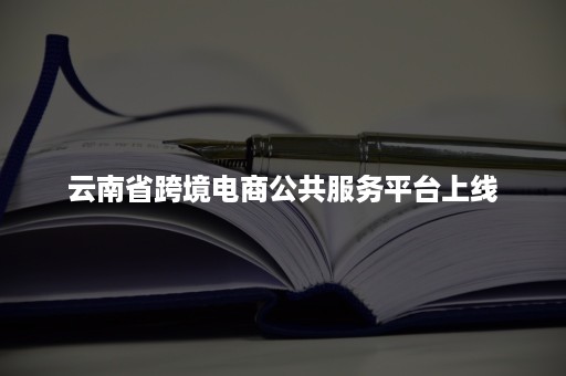 云南省跨境电商公共服务平台上线