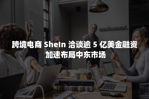 跨境电商 SheIn 洽谈逾 5 亿美金融资 加速布局中东市场