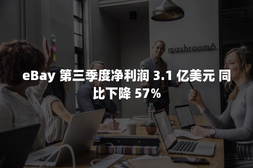 eBay 第三季度净利润 3.1 亿美元 同比下降 57%