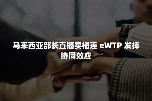 马来西亚部长直播卖榴莲 eWTP 发挥协同效应