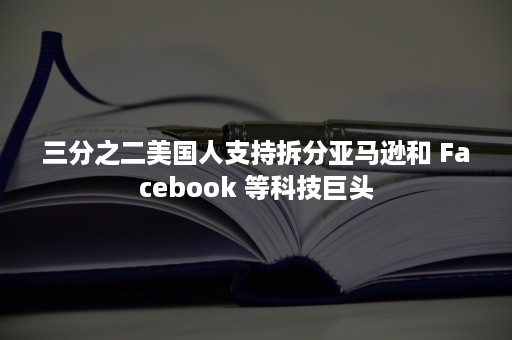 三分之二美国人支持拆分亚马逊和 Facebook 等科技巨头