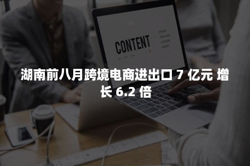 湖南前八月跨境电商进出口 7 亿元 增长 6.2 倍