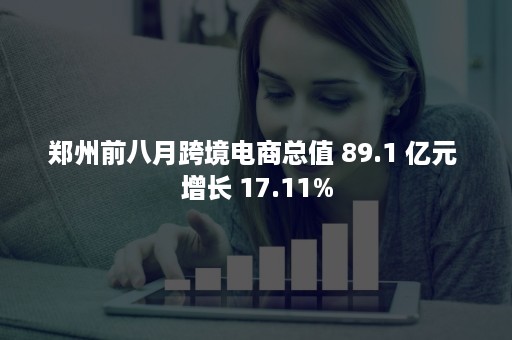 郑州前八月跨境电商总值 89.1 亿元 增长 17.11%