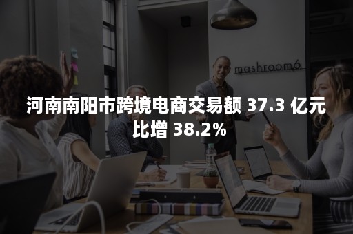 河南南阳市跨境电商交易额 37.3 亿元 比增 38.2%