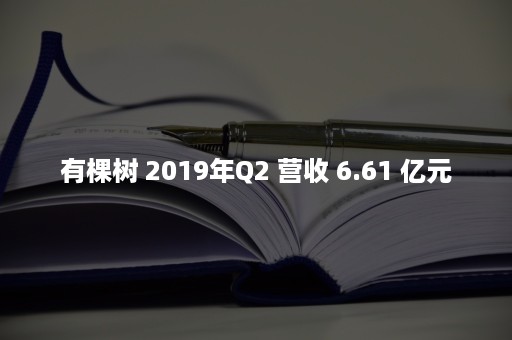 有棵树 2019年Q2 营收 6.61 亿元