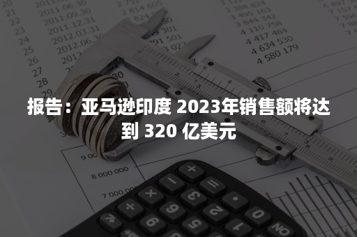 报告：亚马逊印度 2023年销售额将达到 320 亿美元