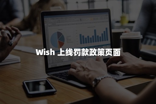 Wish 上线罚款政策页面