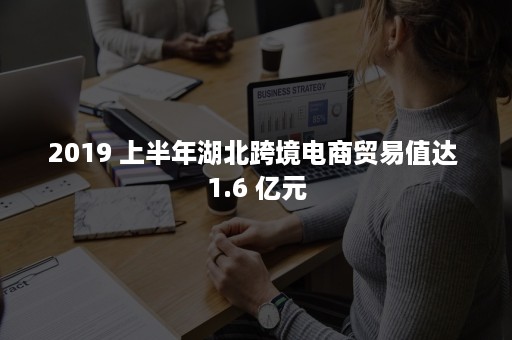 2019 上半年湖北跨境电商贸易值达 1.6 亿元