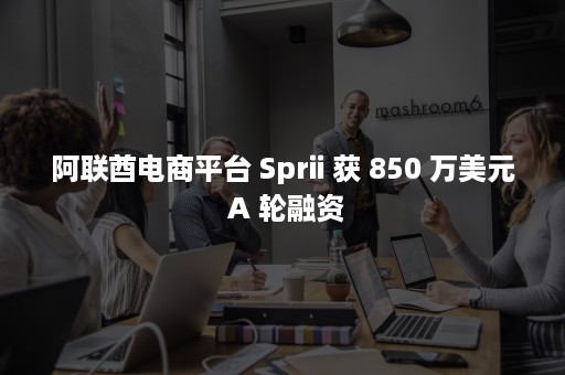 阿联酋电商平台 Sprii 获 850 万美元 A 轮融资