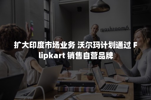 扩大印度市场业务 沃尔玛计划通过 Flipkart 销售自营品牌