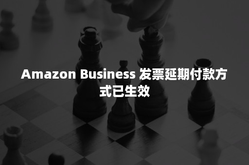 Amazon Business 发票延期付款方式已生效