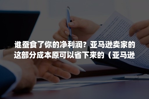 谁蚕食了你的净利润？亚马逊卖家的这部分成本原可以省下来的（亚马逊的亏损源于何处 有何改进方法）