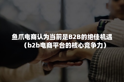 鱼爪电商认为当前是B2B的绝佳机遇（b2b电商平台的核心竞争力）