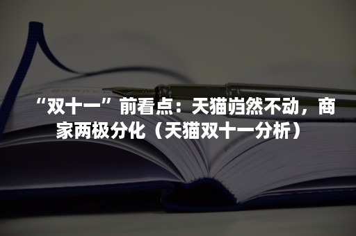 “双十一”前看点：天猫岿然不动，商家两极分化（天猫双十一分析）