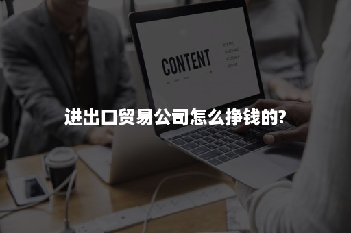 进出口贸易公司怎么挣钱的?