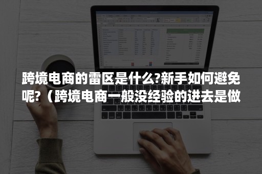 跨境电商的雷区是什么?新手如何避免呢?（跨境电商一般没经验的进去是做什么）