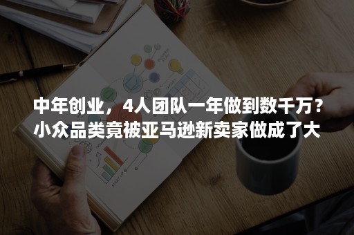 中年创业，4人团队一年做到数千万？小众品类竟被亚马逊新卖家做成了大生意