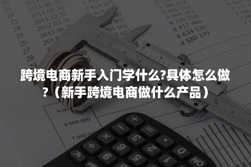 跨境电商新手入门学什么?具体怎么做?（新手跨境电商做什么产品）