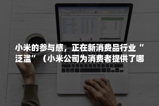 小米的参与感，正在新消费品行业“泛滥”（小米公司为消费者提供了哪些产品）