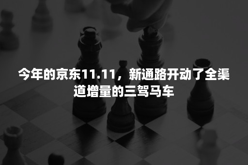 今年的京东11.11，新通路开动了全渠道增量的三驾马车