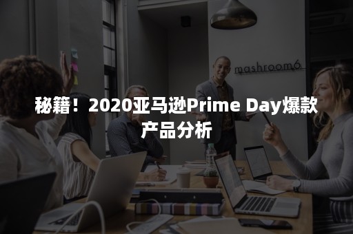 秘籍！2020亚马逊Prime Day爆款产品分析