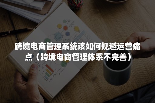 跨境电商管理系统该如何规避运营痛点（跨境电商管理体系不完善）