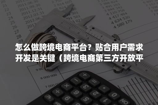 怎么做跨境电商平台？贴合用户需求开发是关键（跨境电商第三方开放平台的优势）