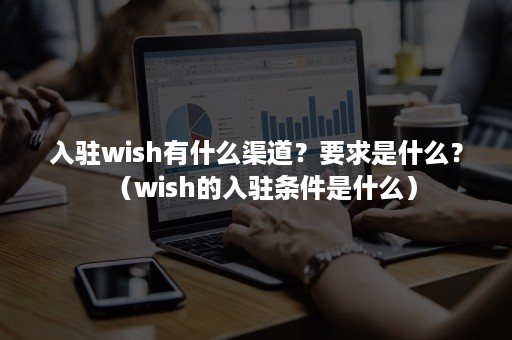 入驻wish有什么渠道？要求是什么？（wish的入驻条件是什么）