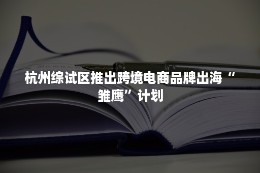 杭州综试区推出跨境电商品牌出海“雏鹰”计划