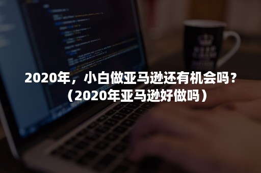 2020年，小白做亚马逊还有机会吗？（2020年亚马逊好做吗）