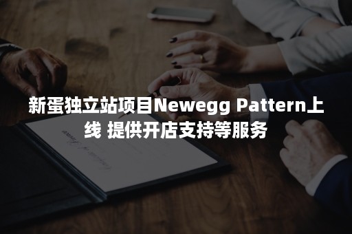 新蛋独立站项目Newegg Pattern上线 提供开店支持等服务