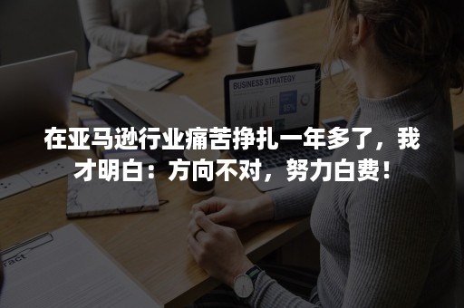 在亚马逊行业痛苦挣扎一年多了，我才明白：方向不对，努力白费！