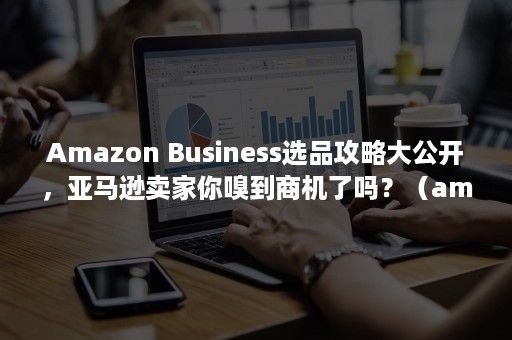 Amazon Business选品攻略大公开，亚马逊卖家你嗅到商机了吗？（amazon美国）