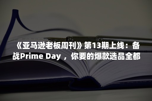 《亚马逊老板周刊》第13期上线：备战Prime Day ，你要的爆款选品全都有！（亚马逊周报）