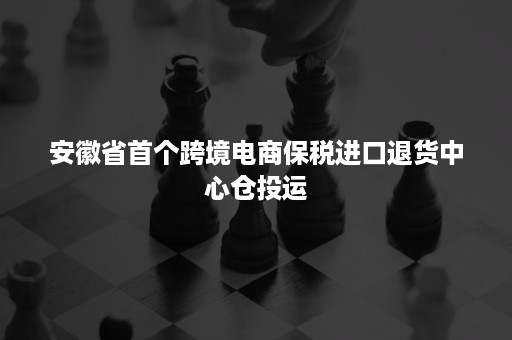 安徽省首个跨境电商保税进口退货中心仓投运