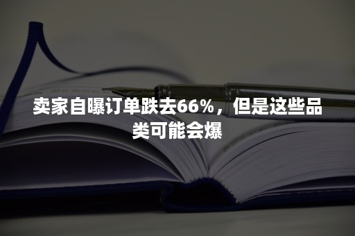 卖家自曝订单跌去66%，但是这些品类可能会爆