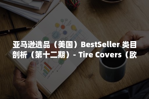 亚马逊选品（美国）BestSeller 类目剖析（第十二期）- Tire Covers（欧洲亚马逊选品）