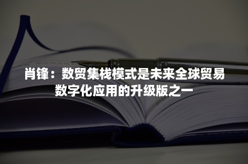 肖锋：数贸集栈模式是未来全球贸易数字化应用的升级版之一