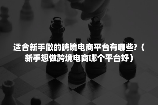 适合新手做的跨境电商平台有哪些?（新手想做跨境电商哪个平台好）