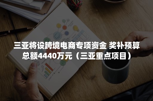 三亚将设跨境电商专项资金 奖补预算总额4440万元（三亚重点项目）